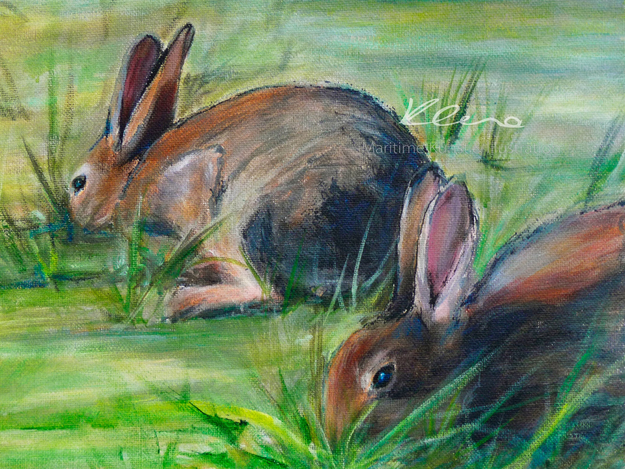 Die kleinen Bewohner der Nordsee Inseln, die Kaninchen, trifft man besonders häufig auf Amrum an. Nordsee Inseln Kunstdrucke von Susanne Klena.